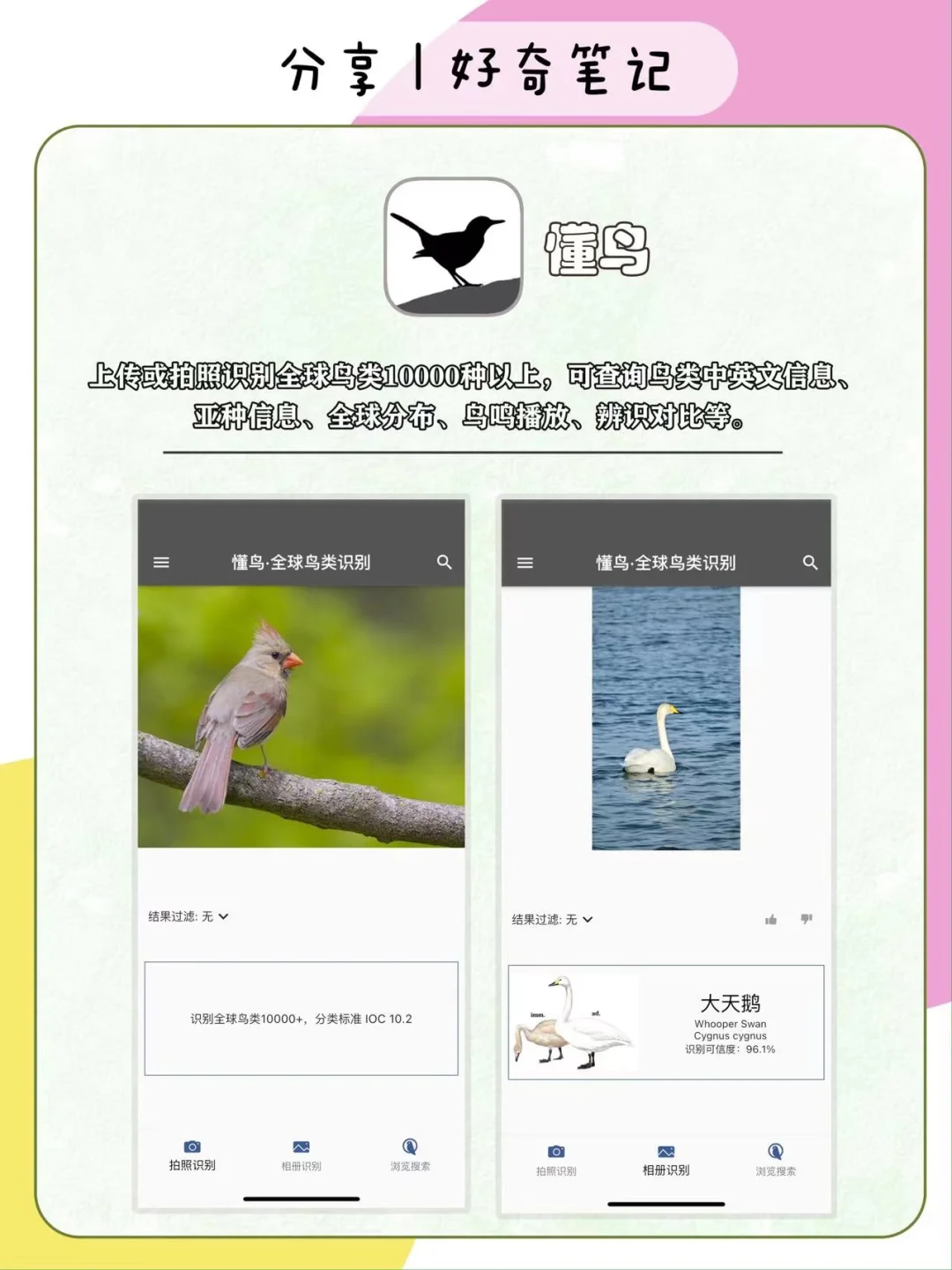 家长收藏！16个户外遛娃&科学启蒙宝藏APP