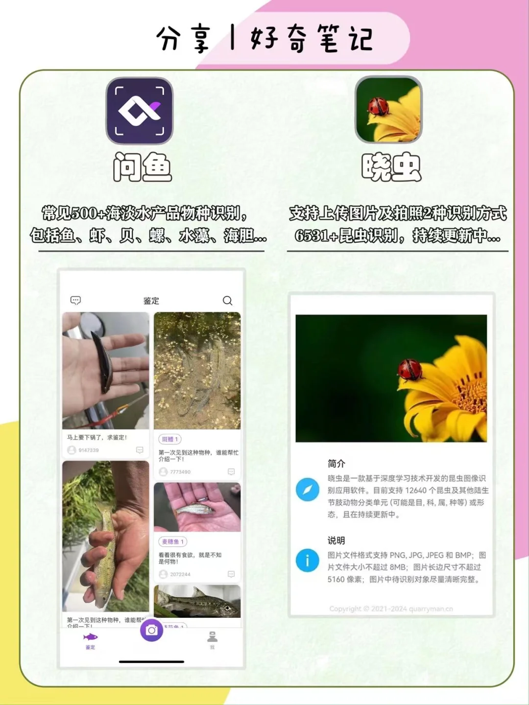 家长收藏！16个户外遛娃&科学启蒙宝藏APP