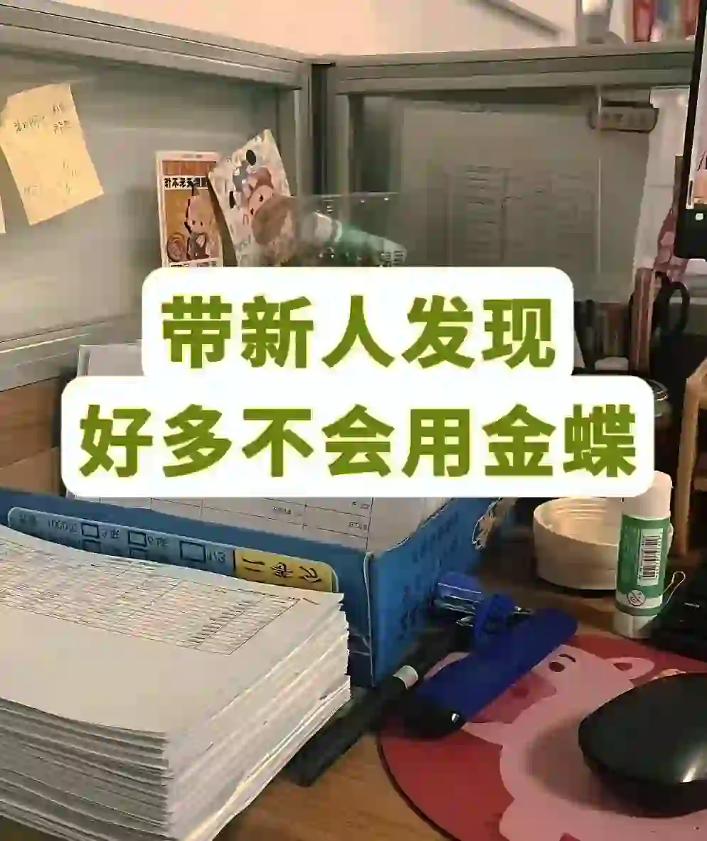 金蝶软件操作使用流程