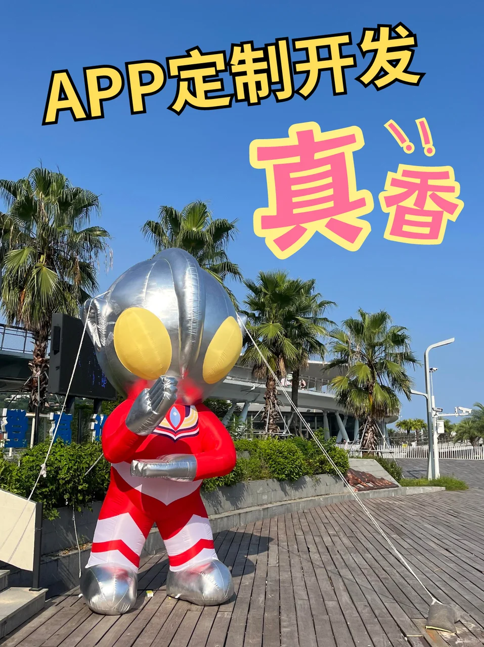 APP定制开发，真香！