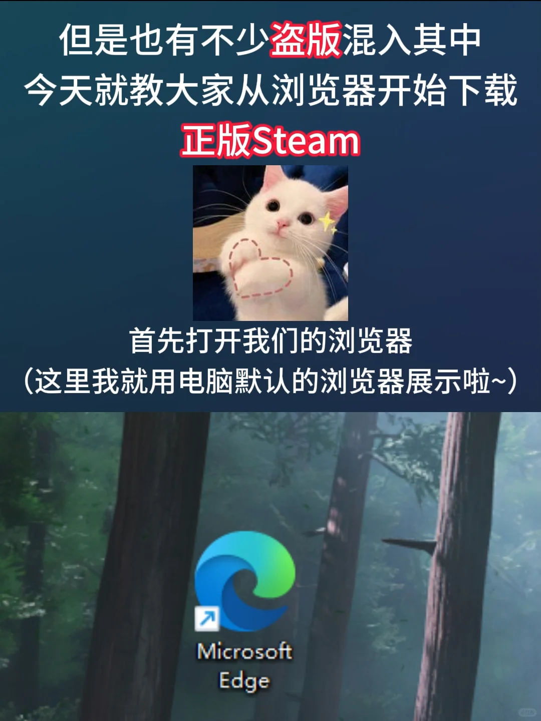 （电脑小白向）steam下载、安装、注册教程