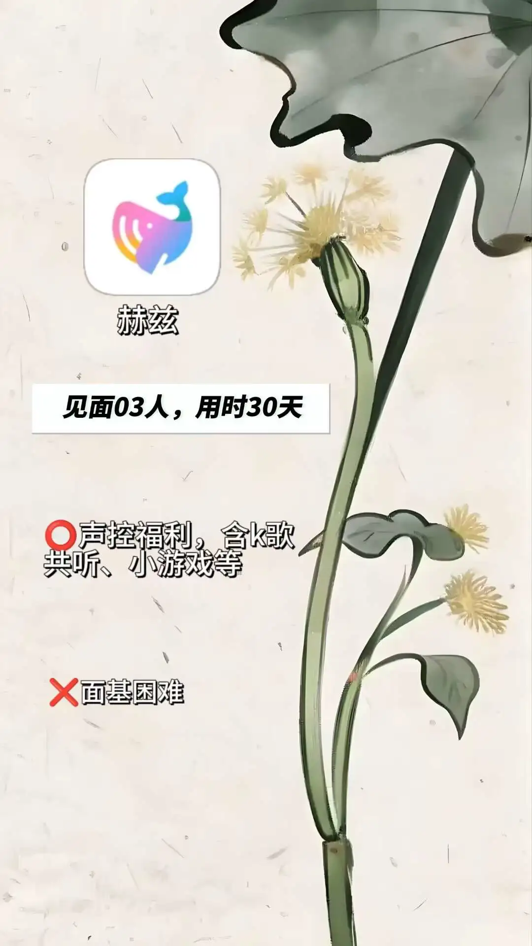 20➕交友软件个人使用体验总结