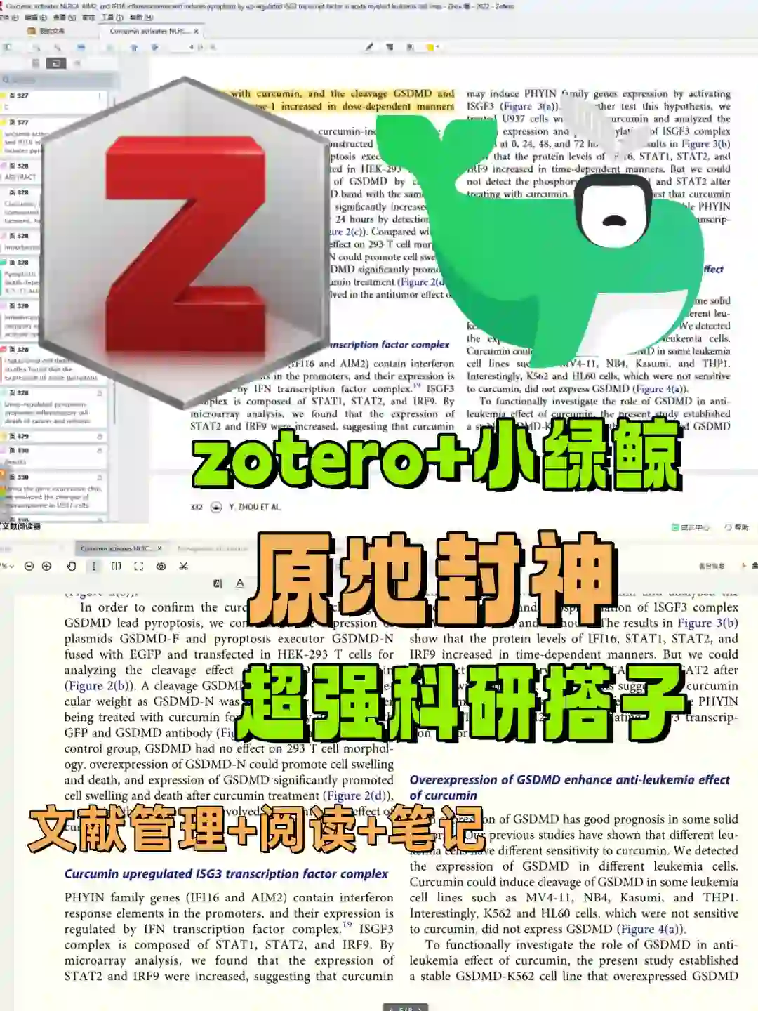 zotero和小绿鲸|后悔没早用的文献阅读神器