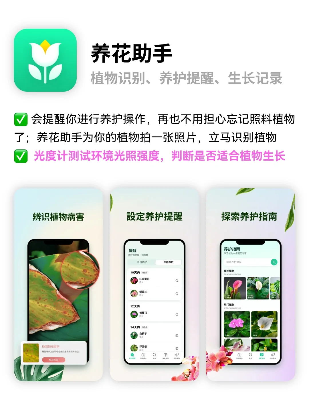 养花人必备宝藏APP🪴养花新手绿植管理