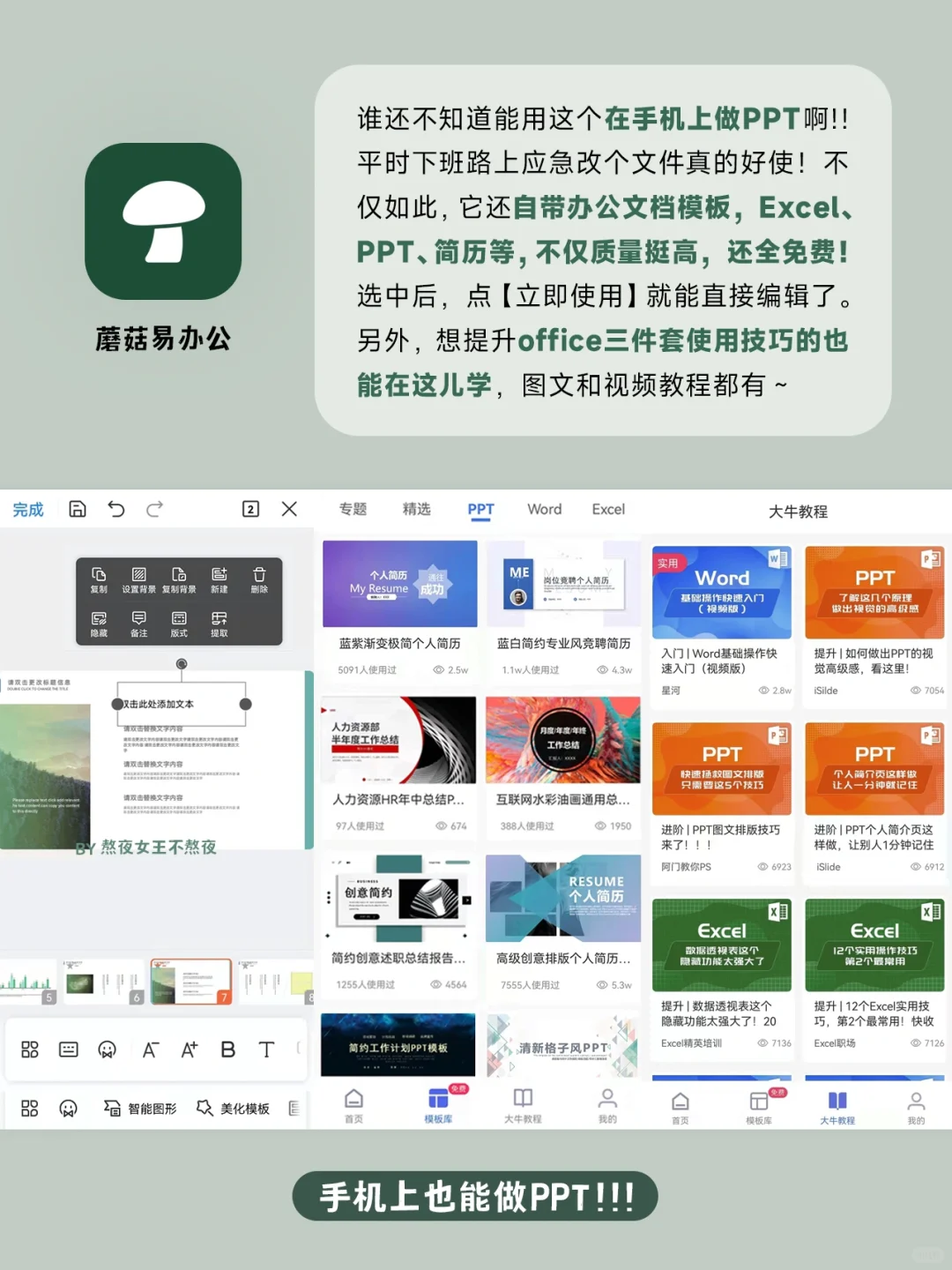 冷门高级自我提升app！学生党打工人快去用！