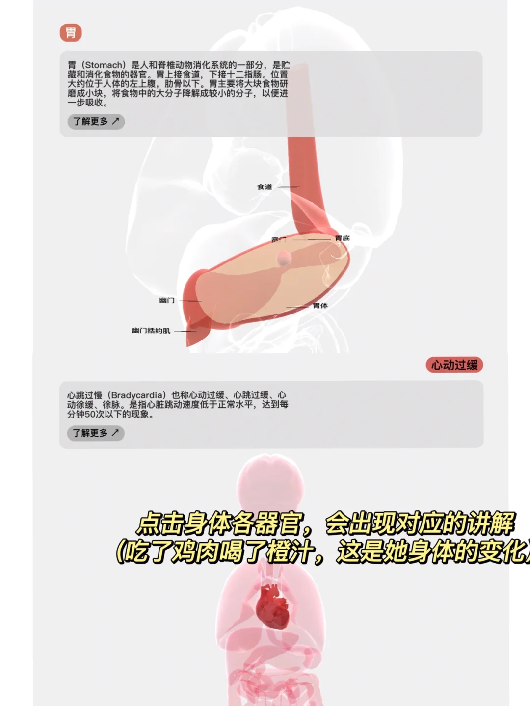 高级小众科普类app — 生命LIFE