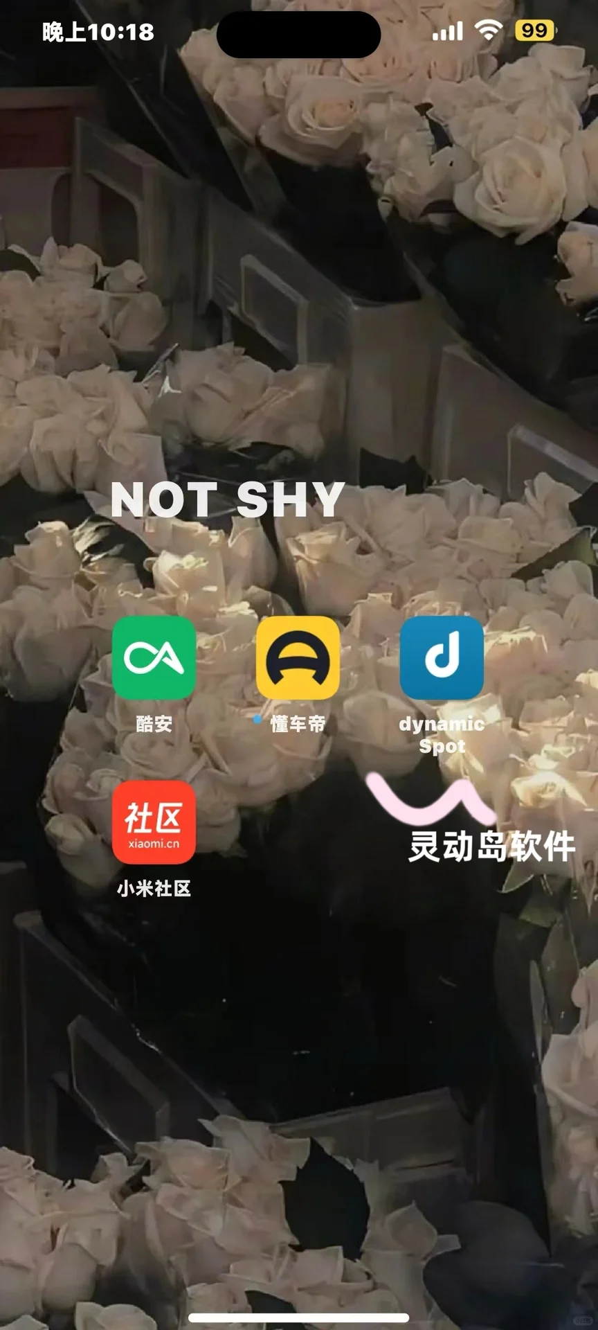 小米灵动岛➕IOS图标教程（免Root