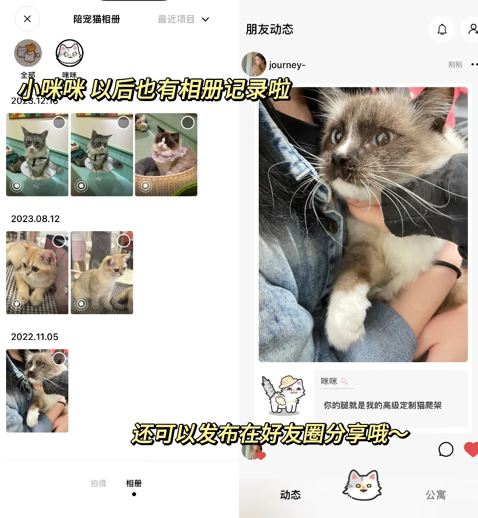 可以捏猫猫的app，我看是谁还没有下❗