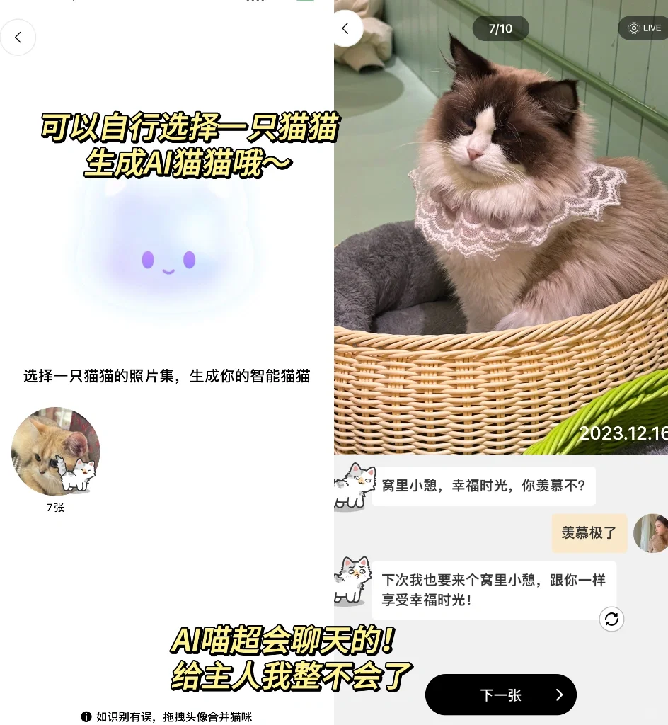 可以捏猫猫的app，我看是谁还没有下❗