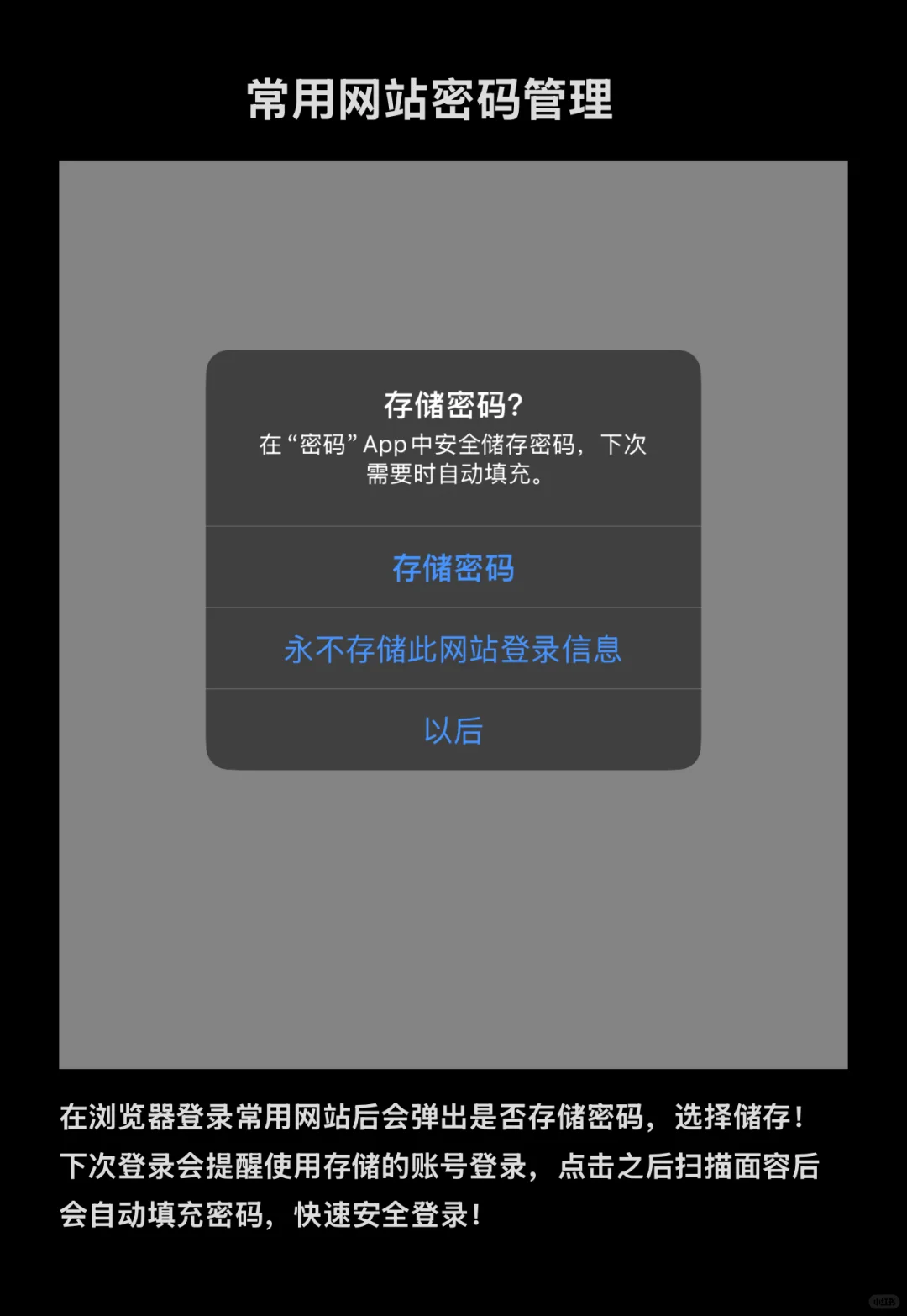 iOS 18密码app看这个就懂了🤩🤩