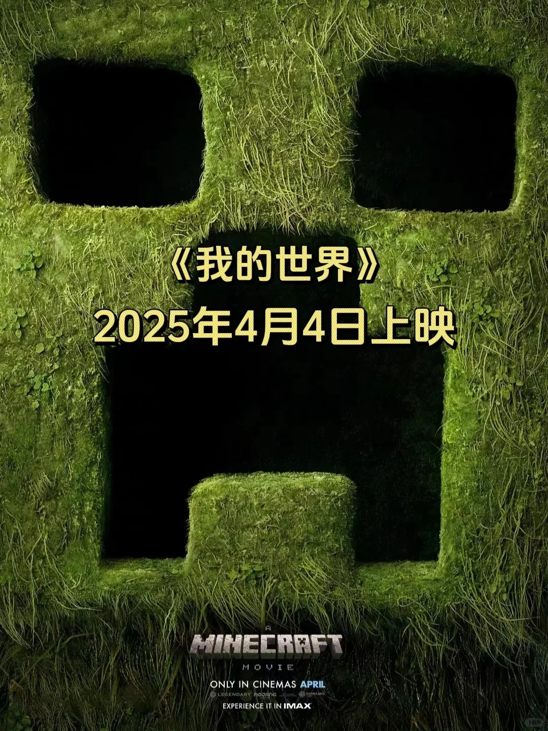 2025年开始，好多超棒的电影即将上映！😎