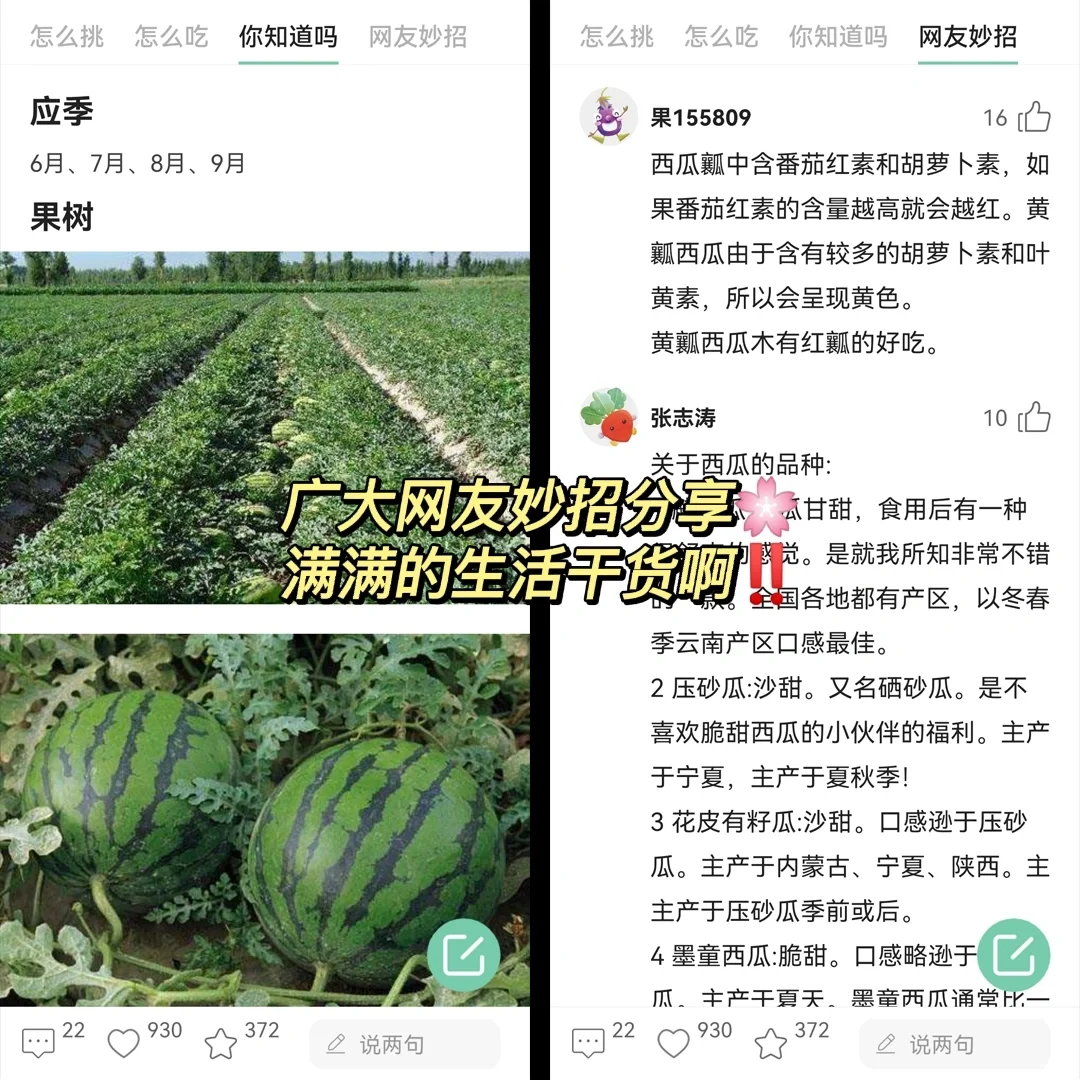 50.🍉🍎🍇🍓🥦‼️宝藏APP下了么