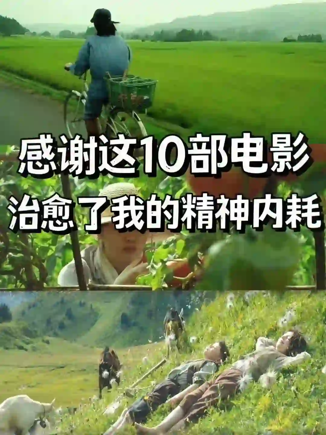 ✨ 容易内耗一定要看的10部治愈系电影