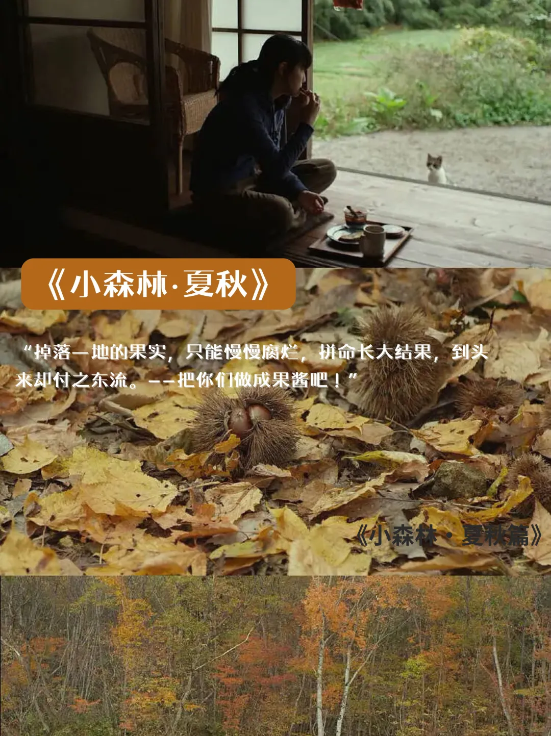 上了六天班，看部电影去班味吧🍂