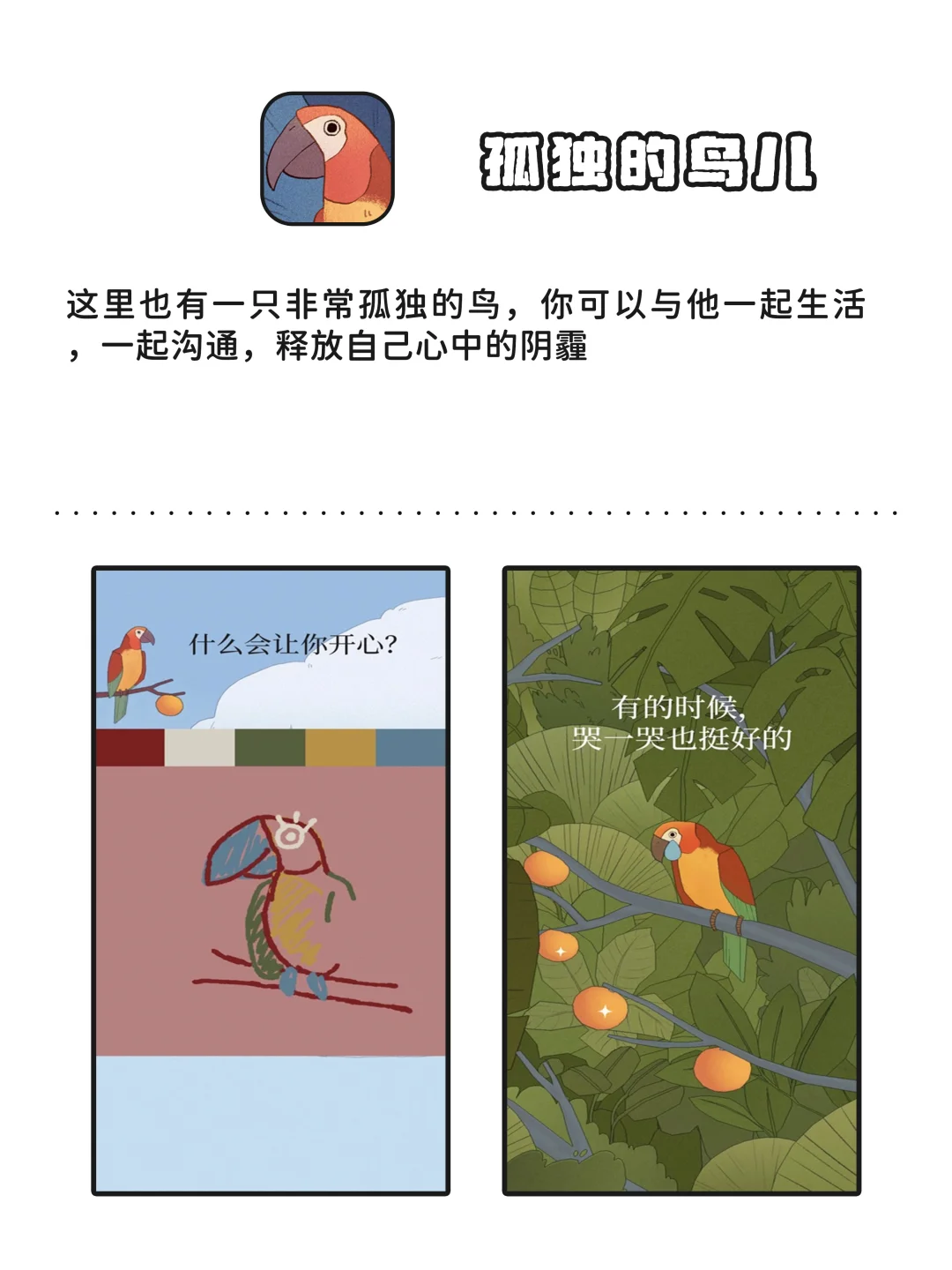 相见恨晚的小众实用APP