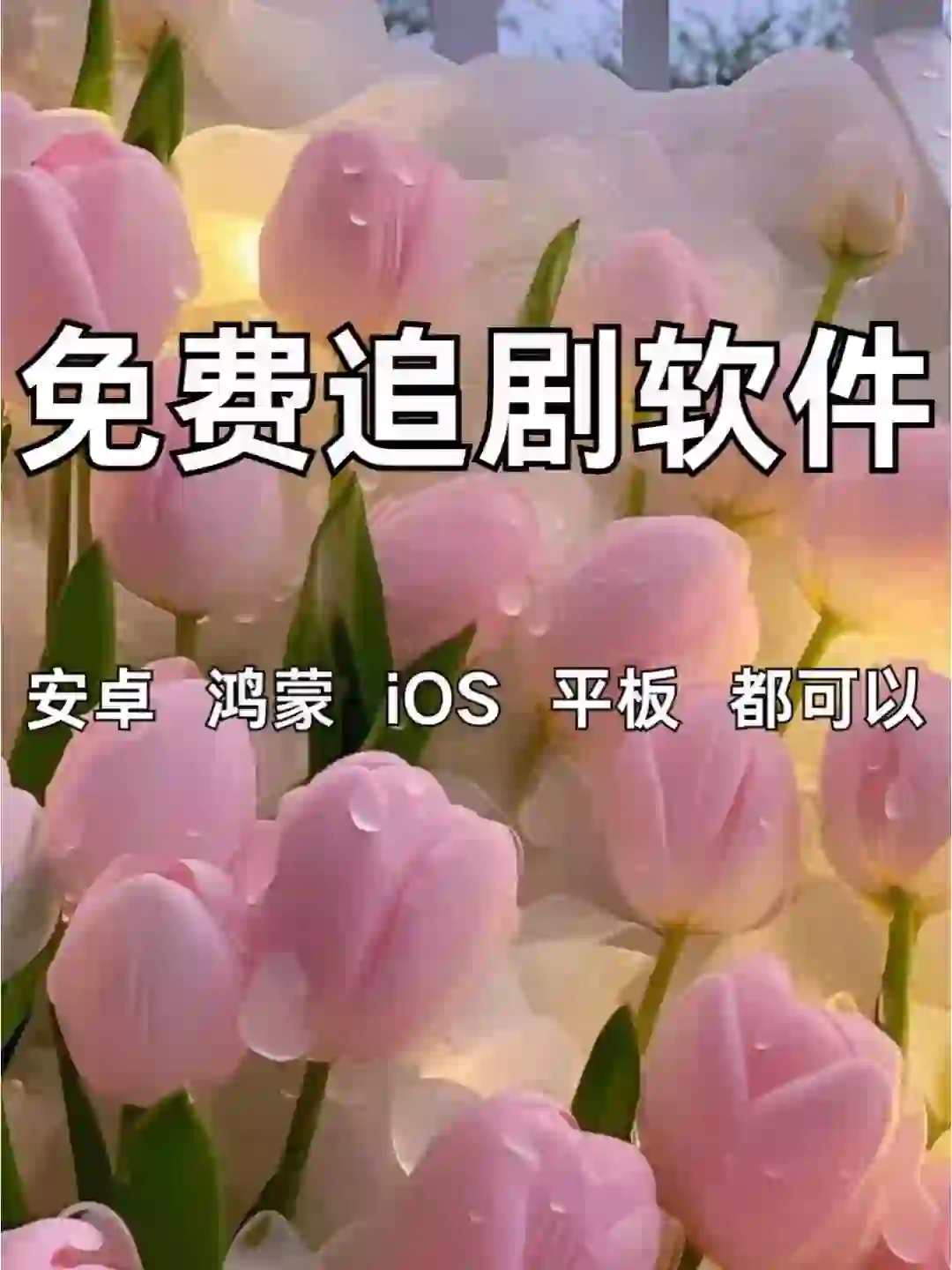 iOS免费追剧软件：多款，商店安装，速冲