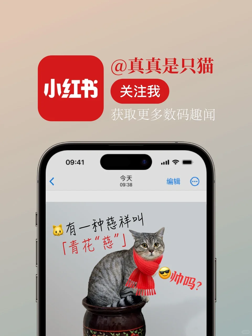 📱长年用 iPhone 最好要知道这几个 App！