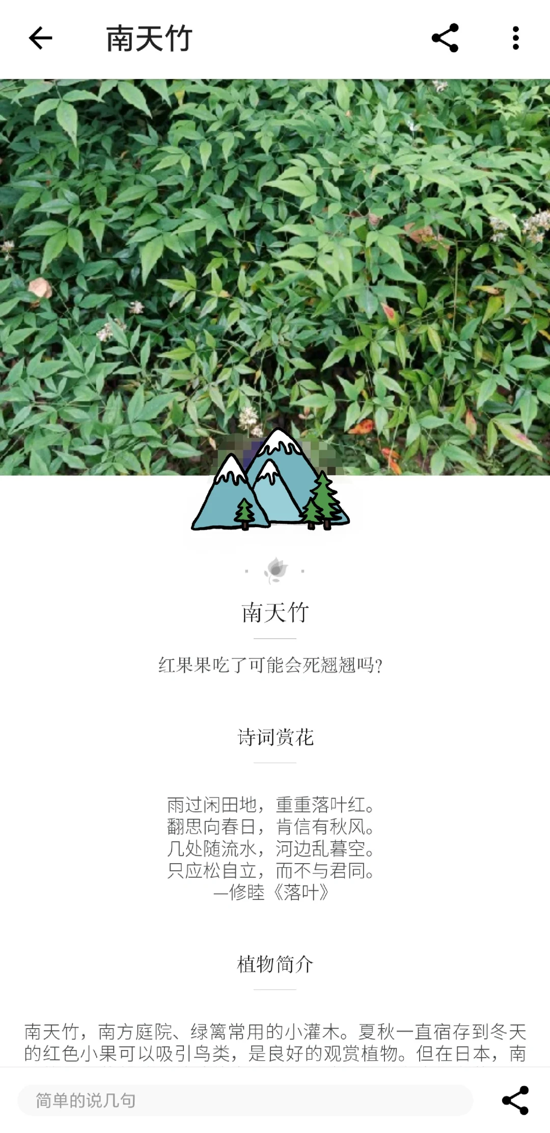 看到路边的植物想认识？推荐一个APP！