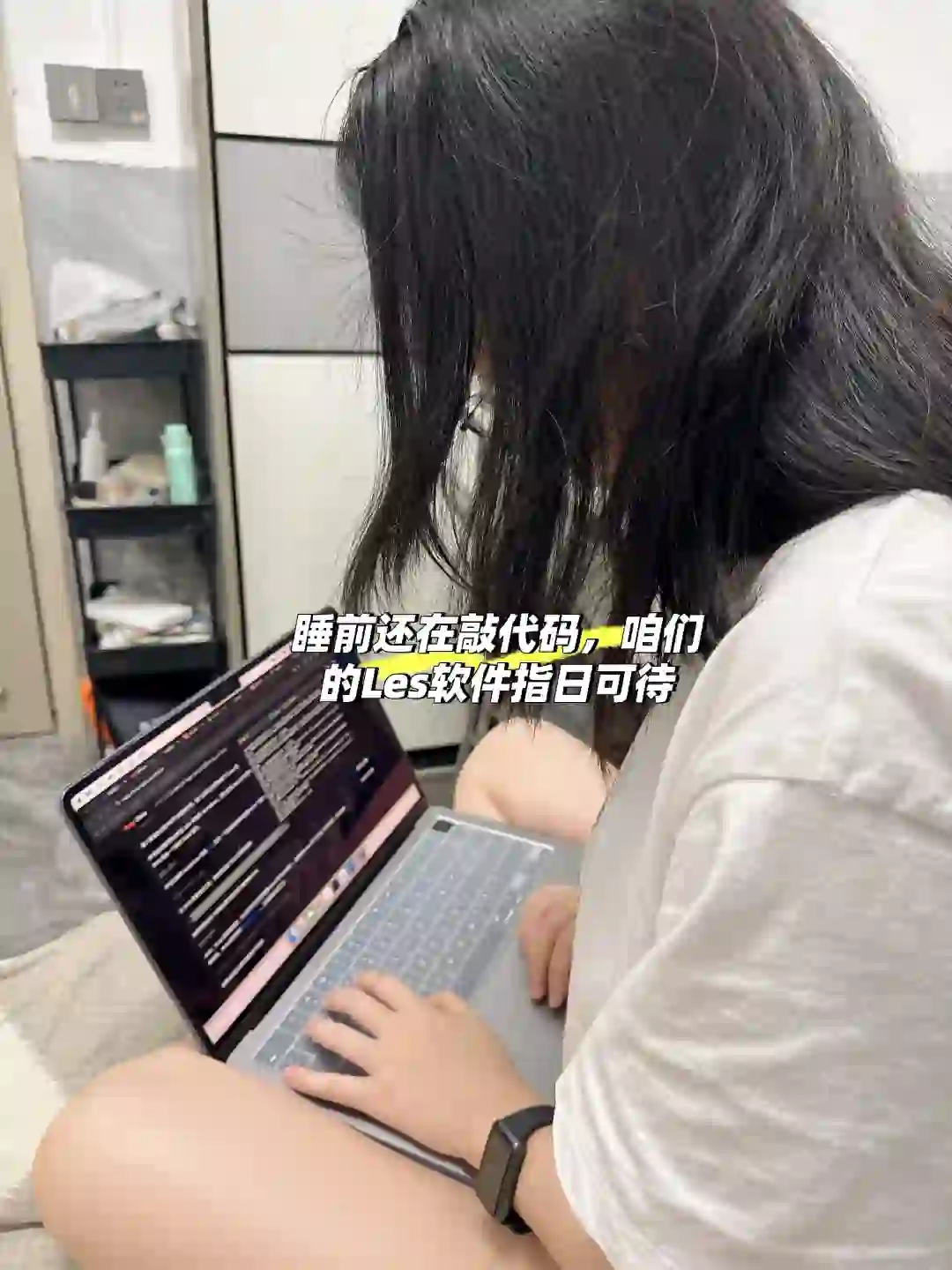 对象一起开发一款les软件