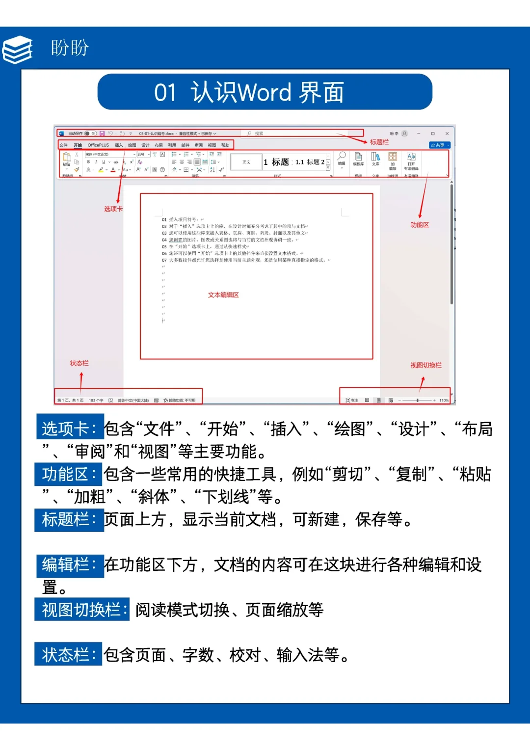 0基础救星❗️啃透这7页纸,你的word会很牛