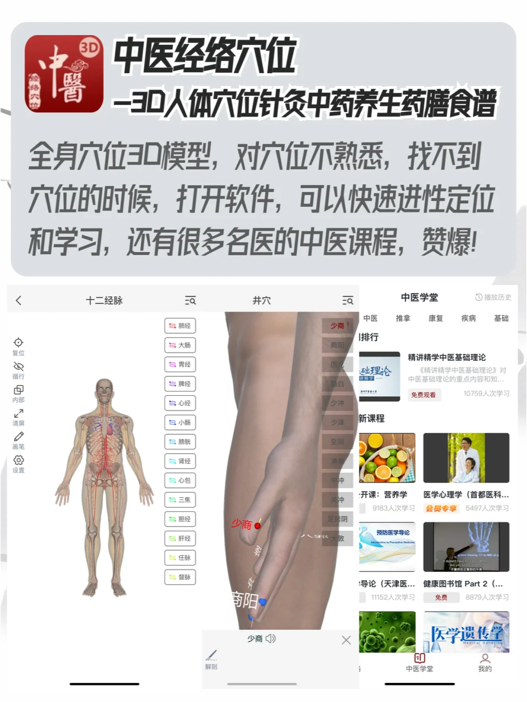 学中医的宝藏app，这几个真的绝了！