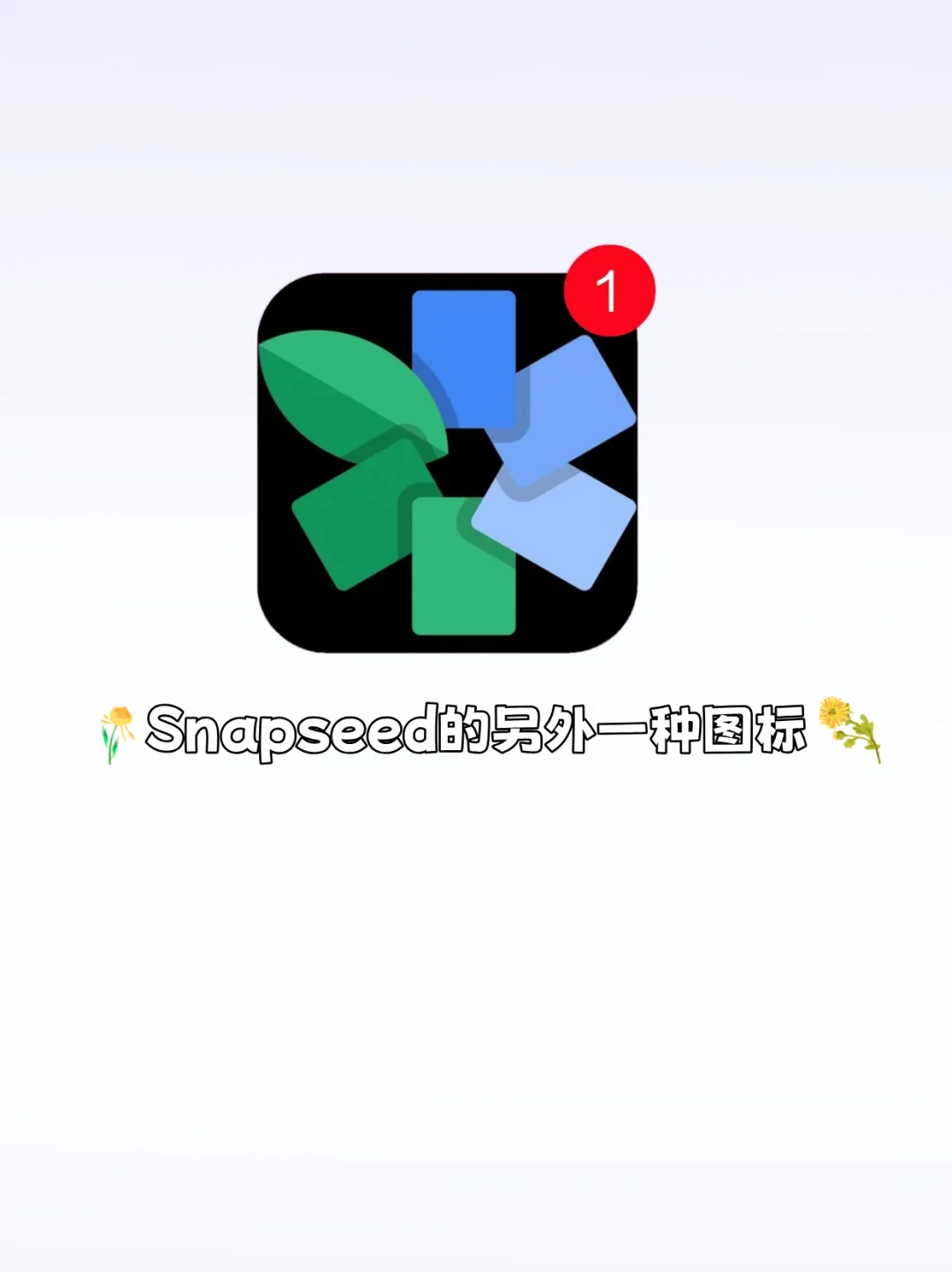 Snapseed安卓下载，Snapseed修图教程🔥