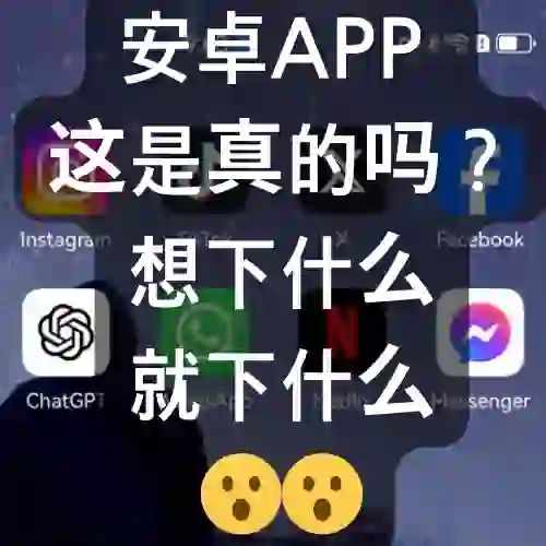 安卓app下载神器呀！