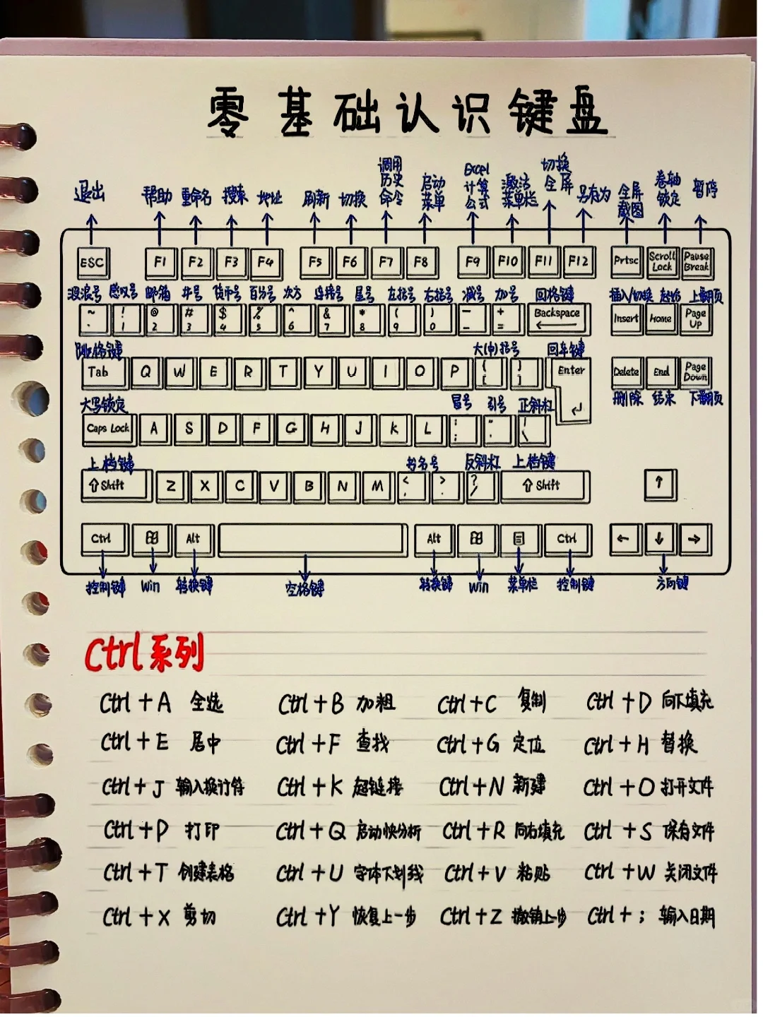 哭了😭为什么刚开始学电脑的时候没人告诉我