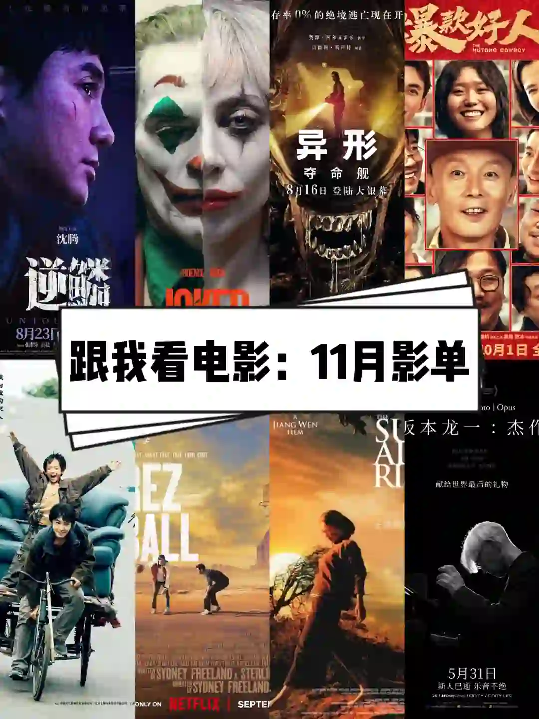 🎬跟我一起看电影：2024年11月影单💯