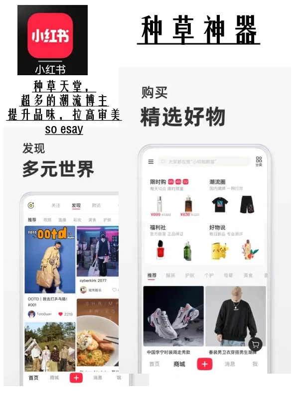 男生版｜我的年度爱用app分享，含戒LU神器