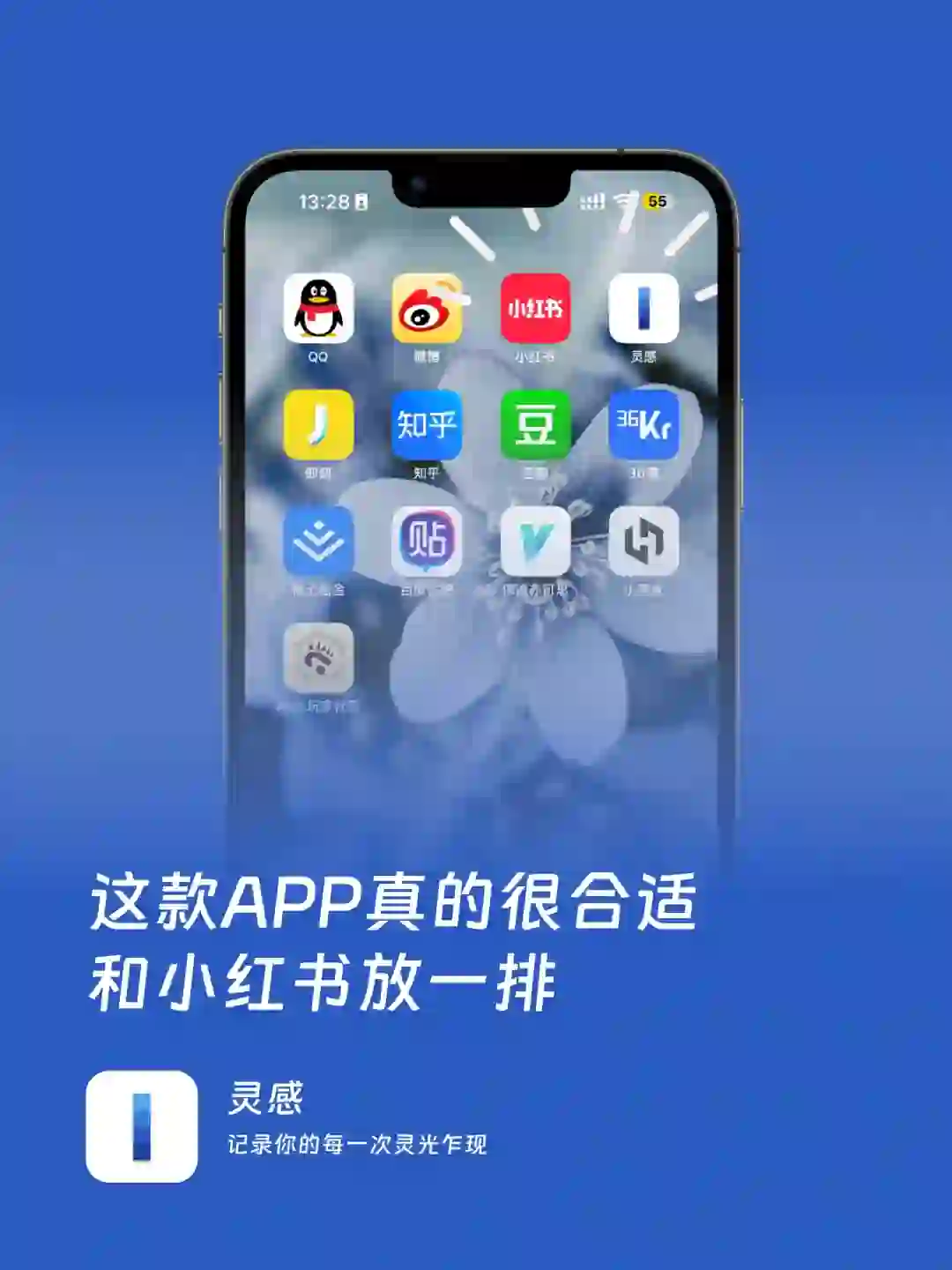 这个APP真的很适合和小红书放一排