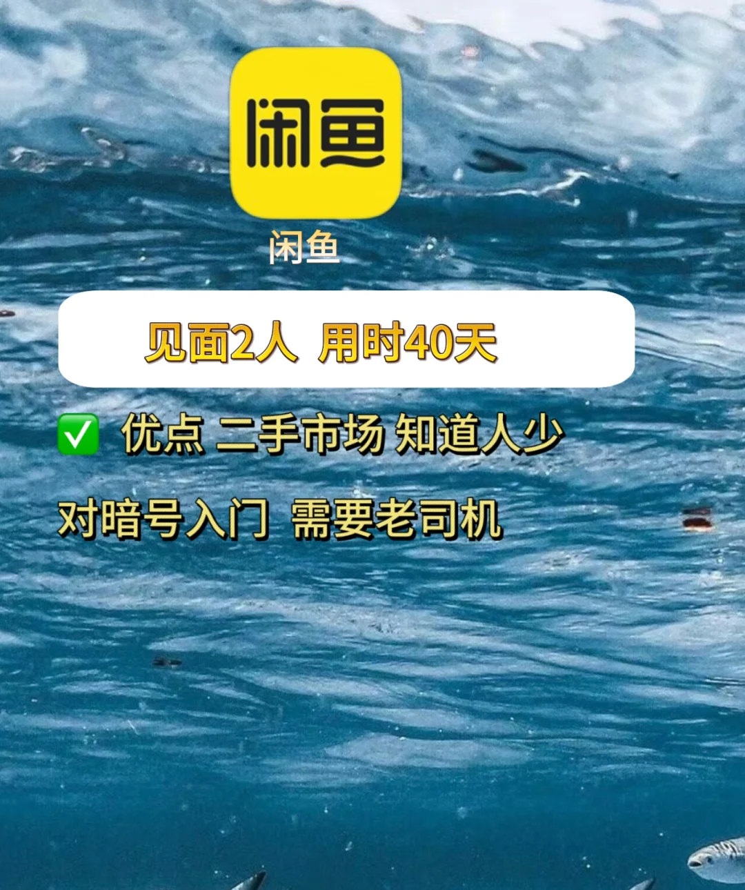 成年人手机必装的交友app，你用过几个？