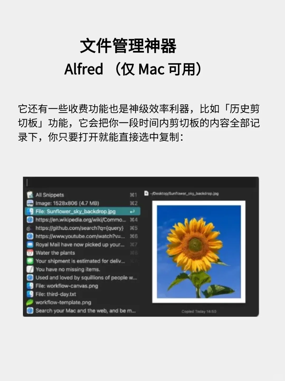 15 款新电脑必装软件！Windows 和 Mac 都有