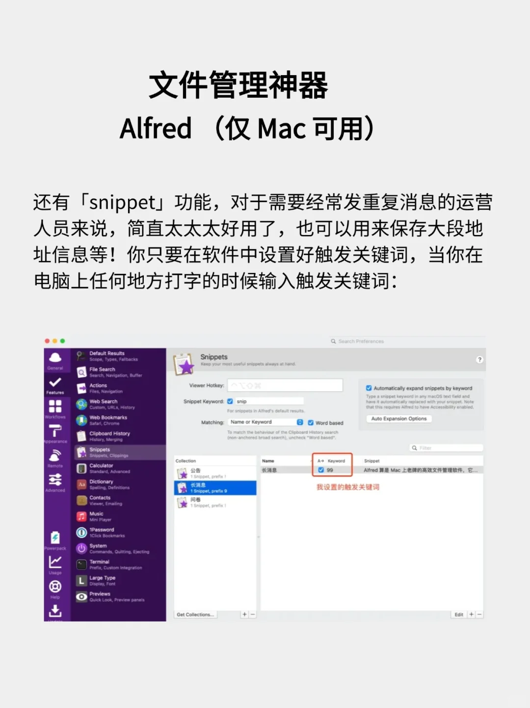 15 款新电脑必装软件！Windows 和 Mac 都有