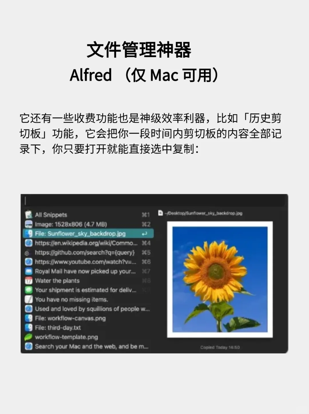 15 款新电脑必装软件！Windows 和 Mac 都有