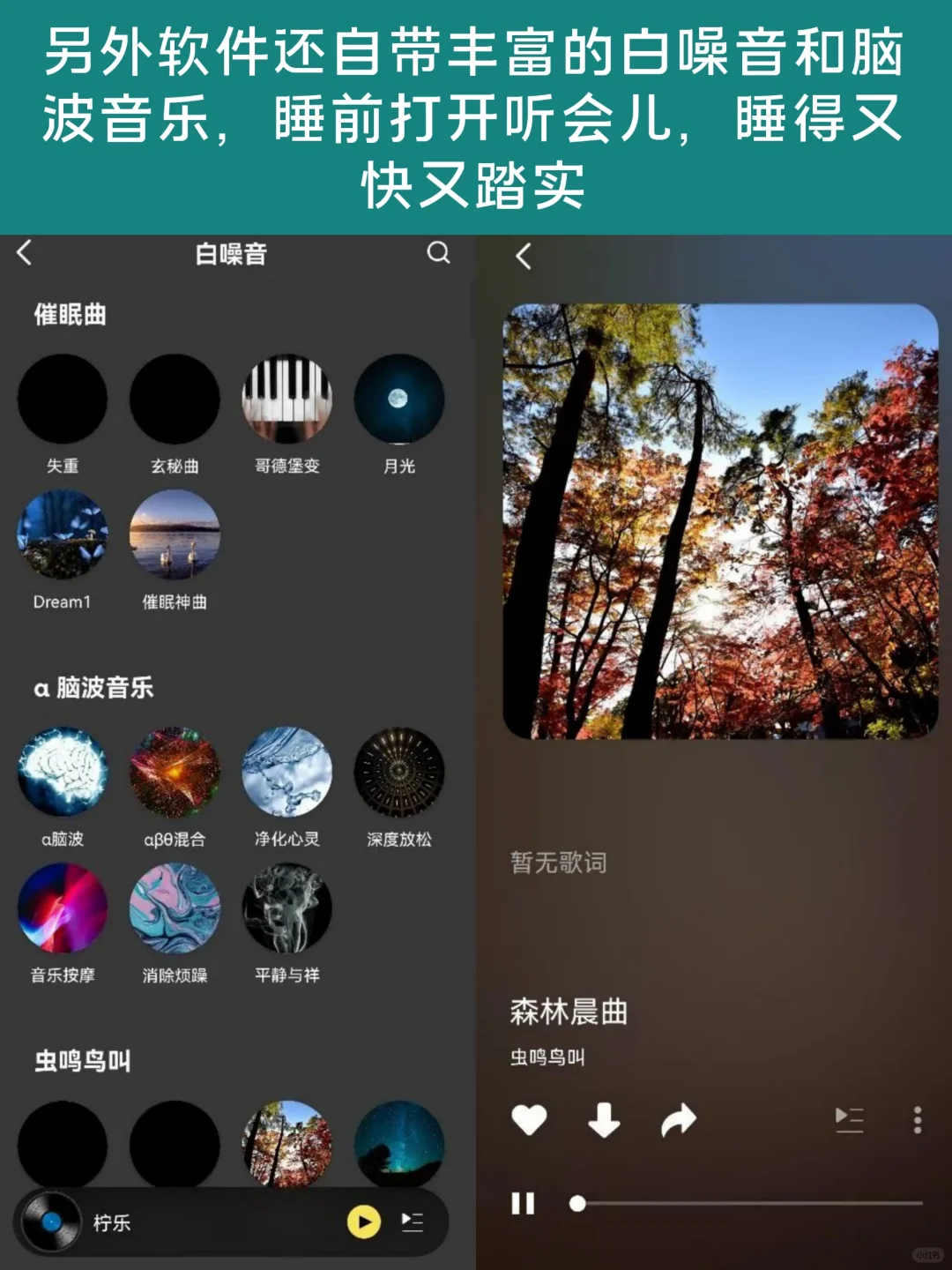 我又挖到宝啦！一个APP实现音乐自由！