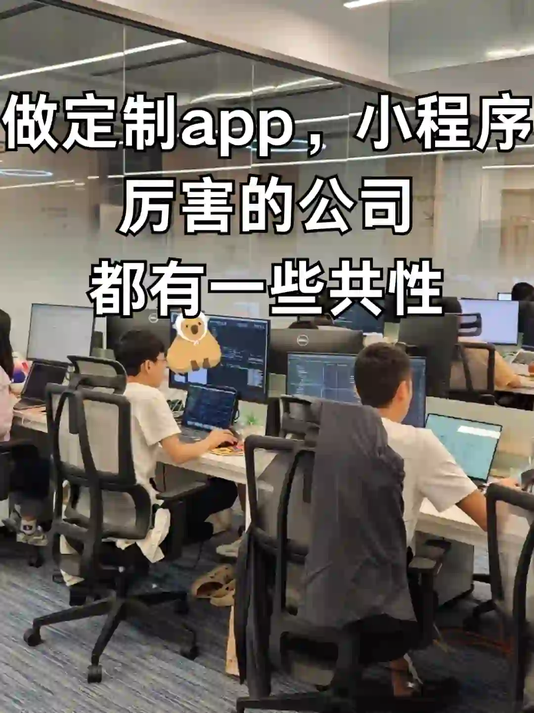 APP开发公司只选贵的？