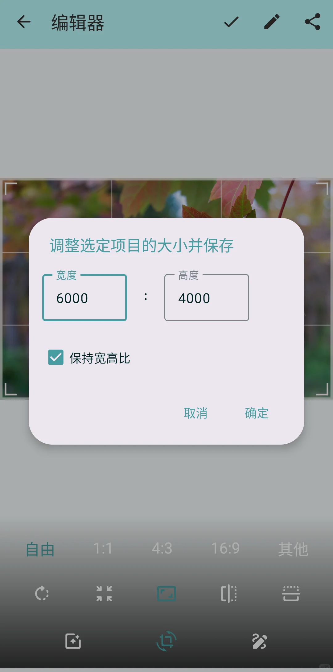 给安卓类原生系统推荐一款好用的相册APP