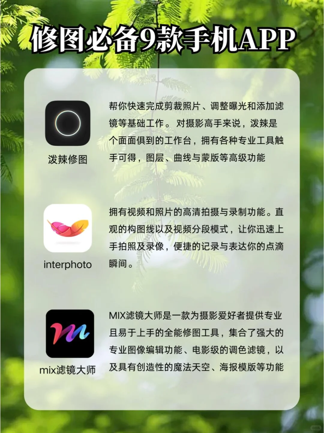 手机修图超好用的APP❗️连摄影师都在用