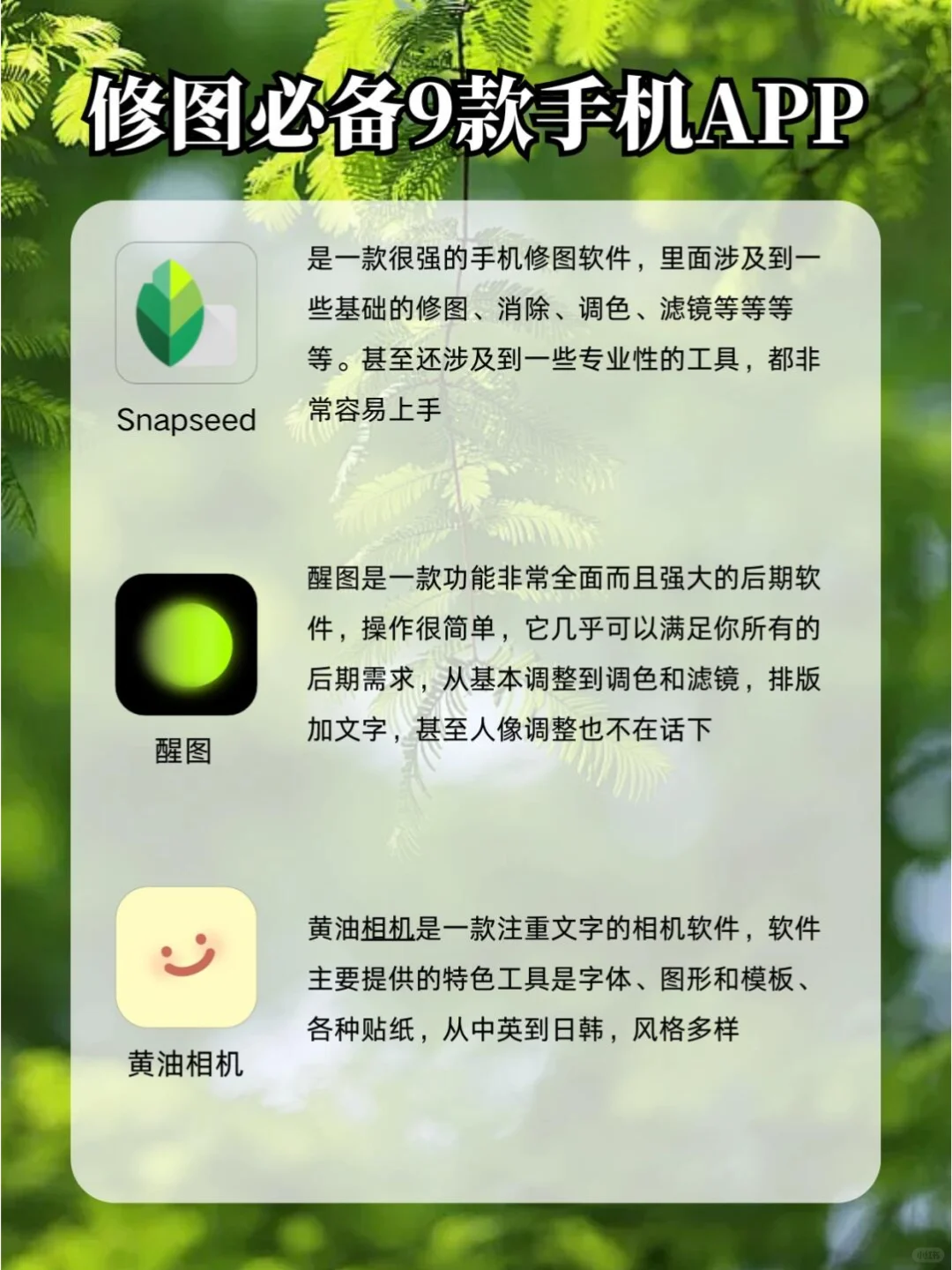 手机修图超好用的APP❗️连摄影师都在用