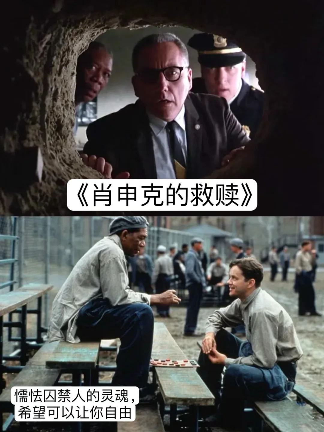 自我提升必看❗️16部经典电影🎬❗️