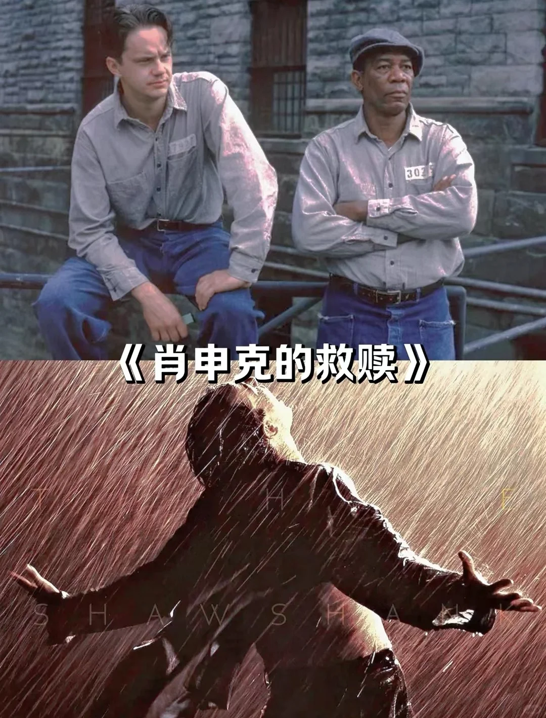 高分经典十七部电影推荐🎬