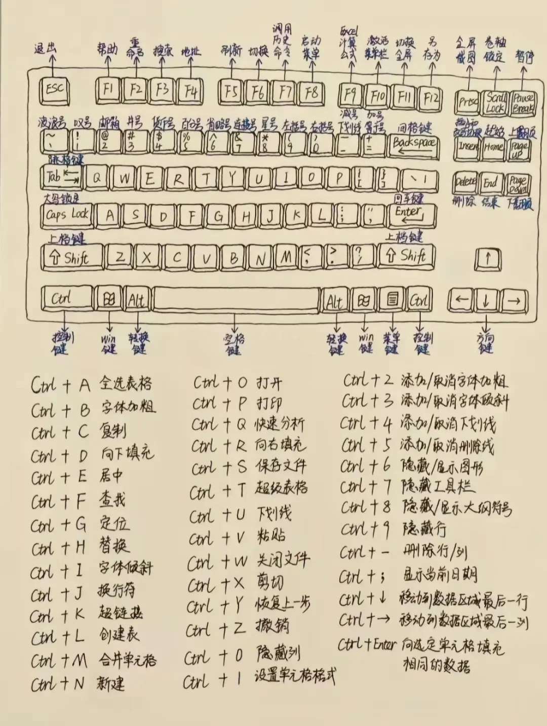 办公新手必备笔记，干货今日分享