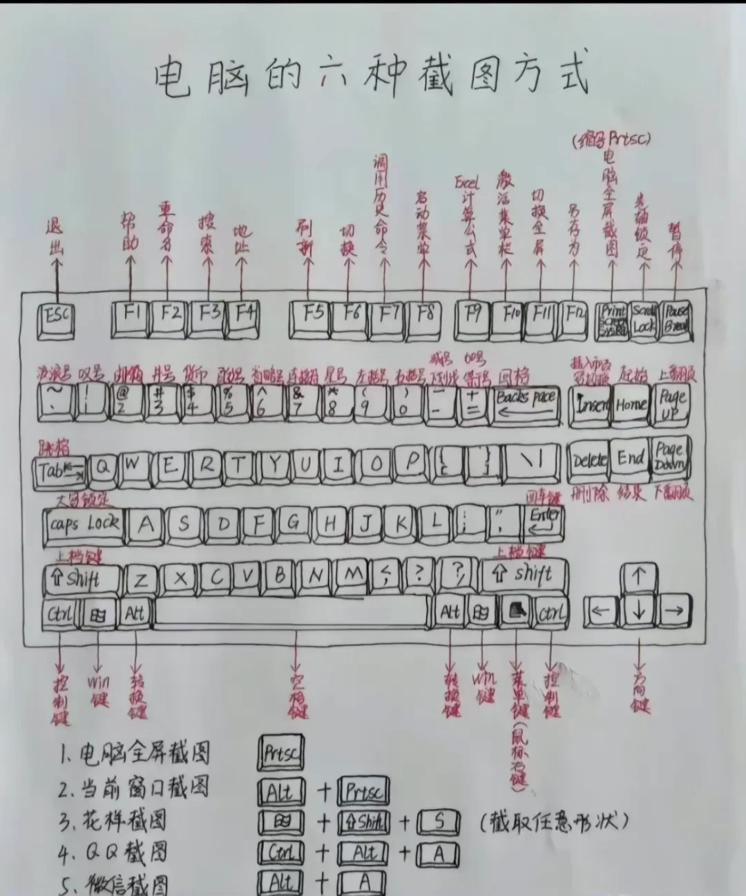 办公新手必备笔记，干货今日分享