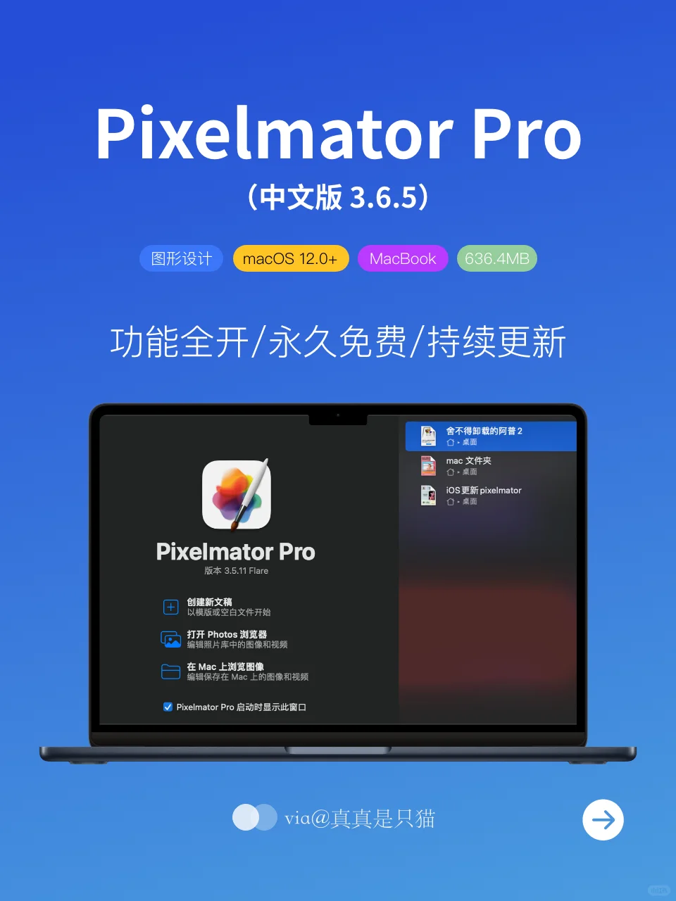 有了 Pixelmator Pro 谁还用 PS 啊🤩