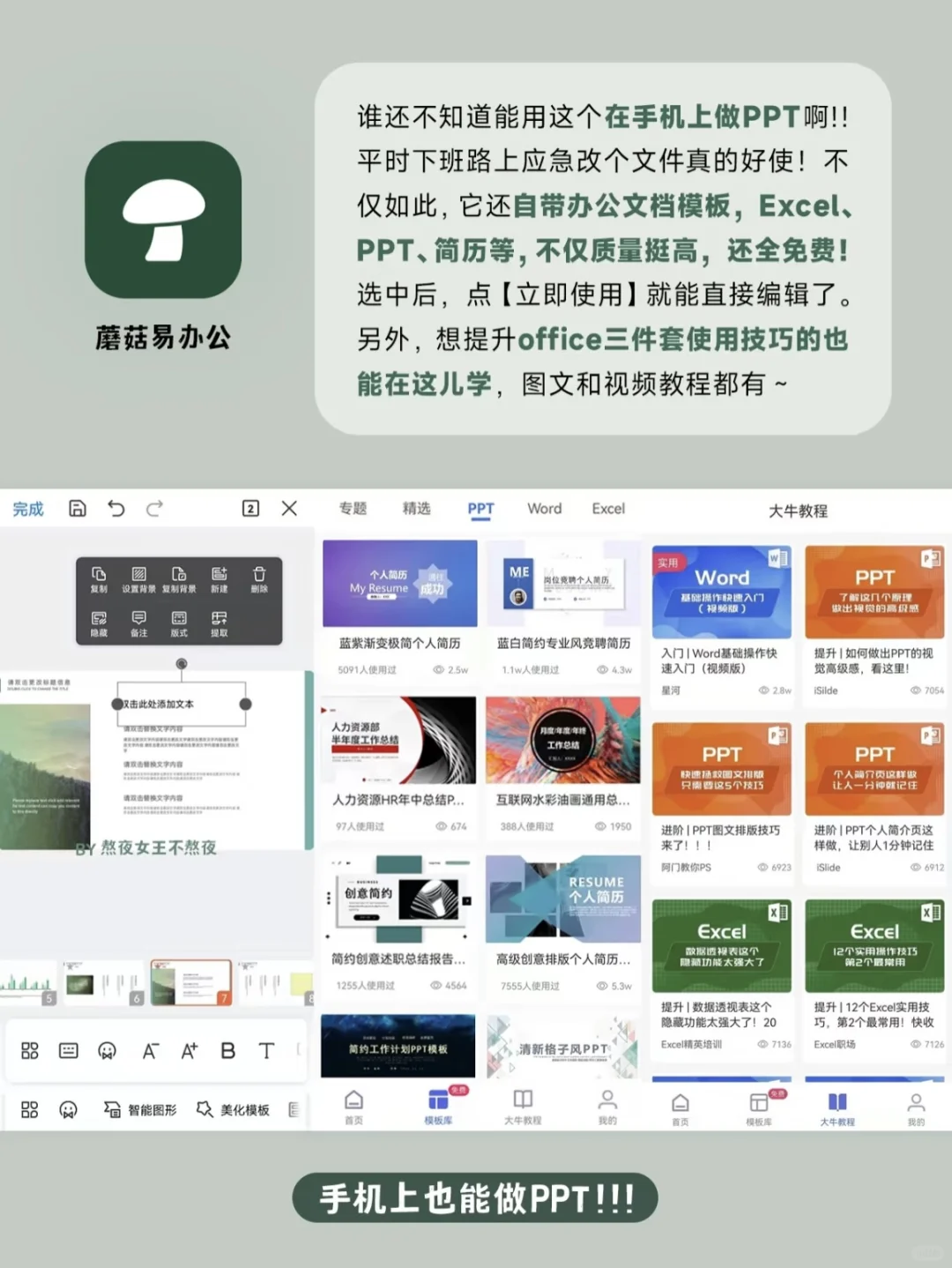 冷门高级自我提升App！学生党打工人快去用！