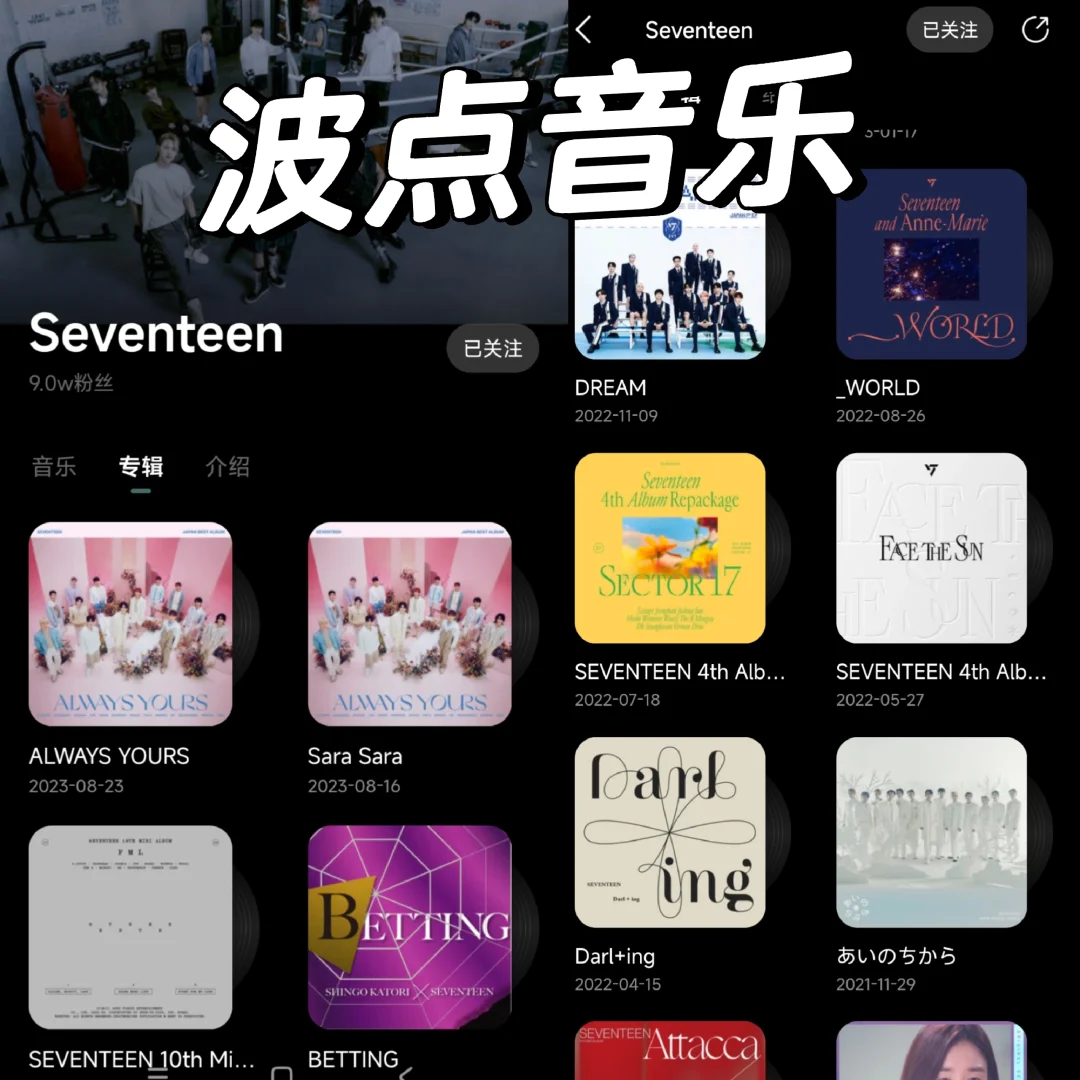 国内音乐软件之谁更适合听SEVENTEEN歌曲