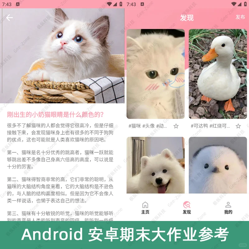 Android安卓宠物之家2024最新App源码+报告