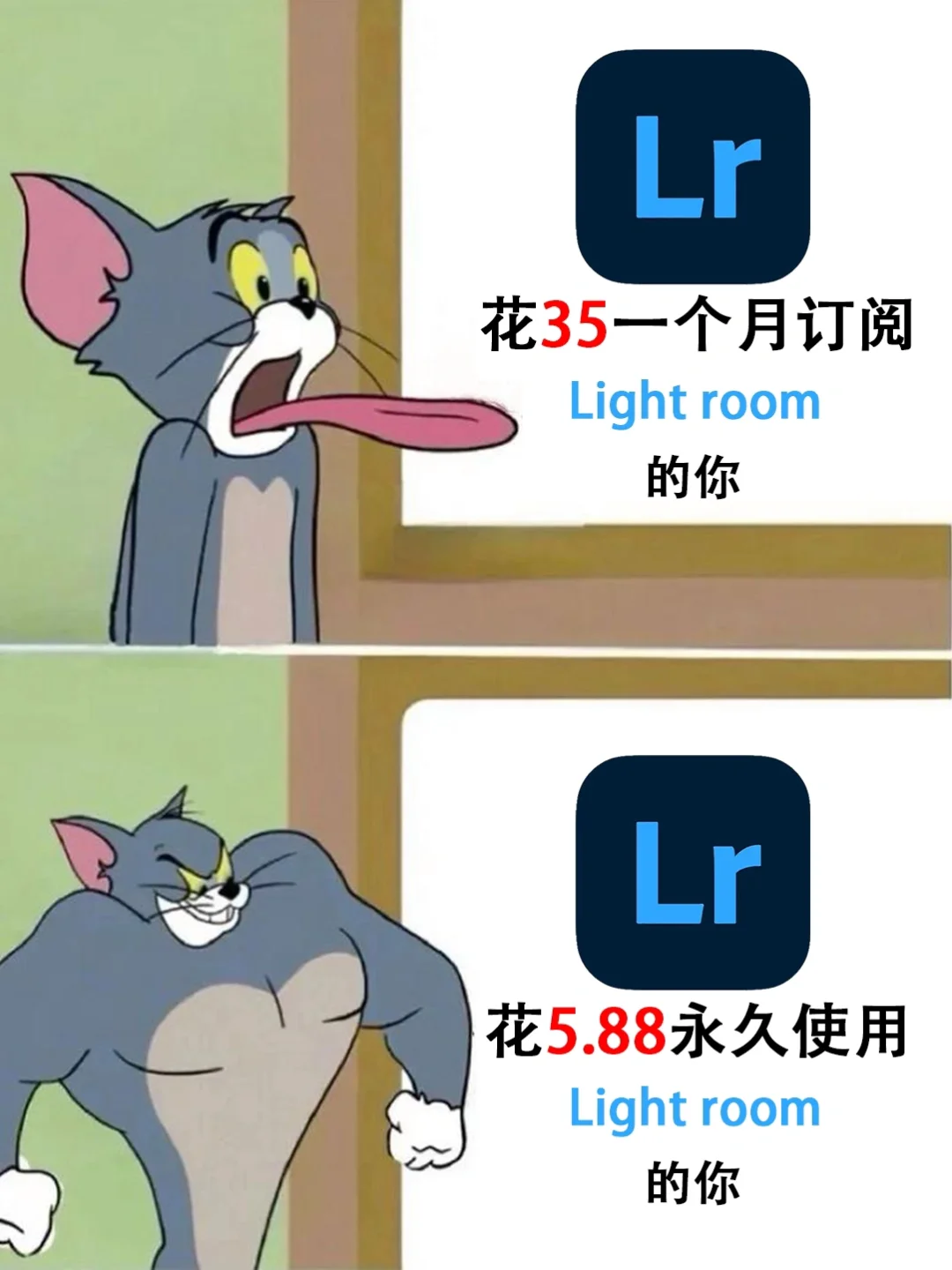 我终于有手机版lr会员了！