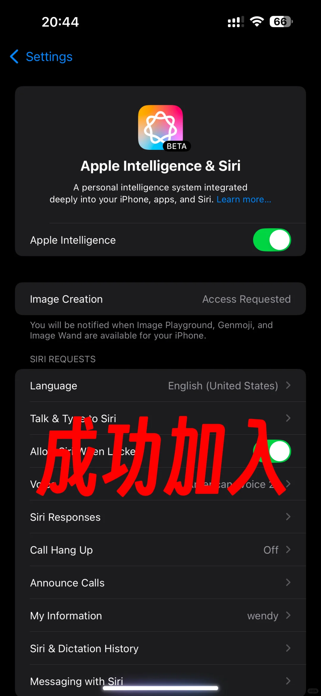 iOS18.2国行开启苹果 AI 保姆级教程